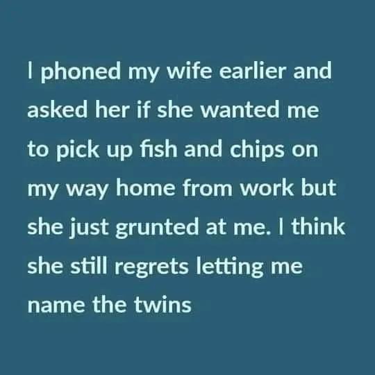 twin meme