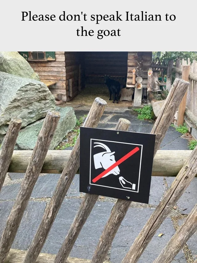 zoo meme