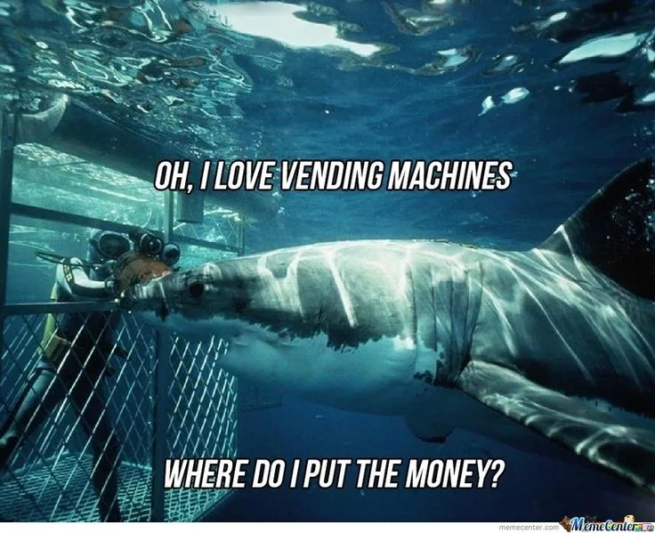 shark attack meme