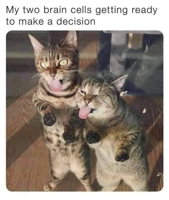 decision meme