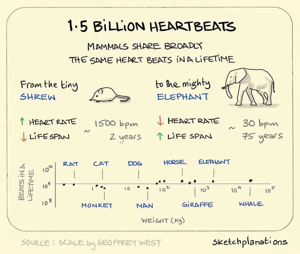 heartbeat meme
