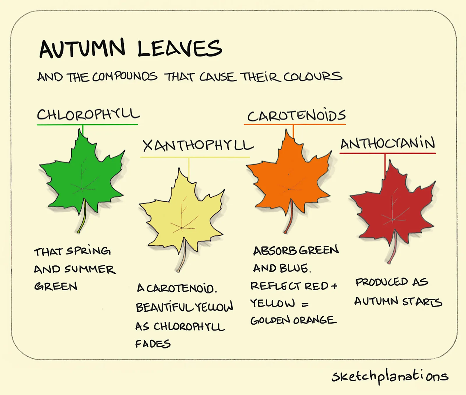 leaf meme