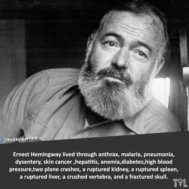 Ernest Hemingway meme