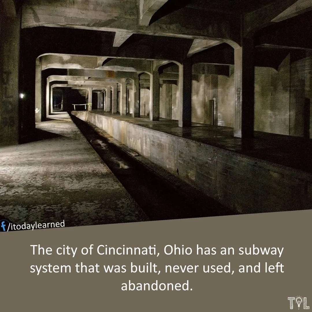Cincinnati meme