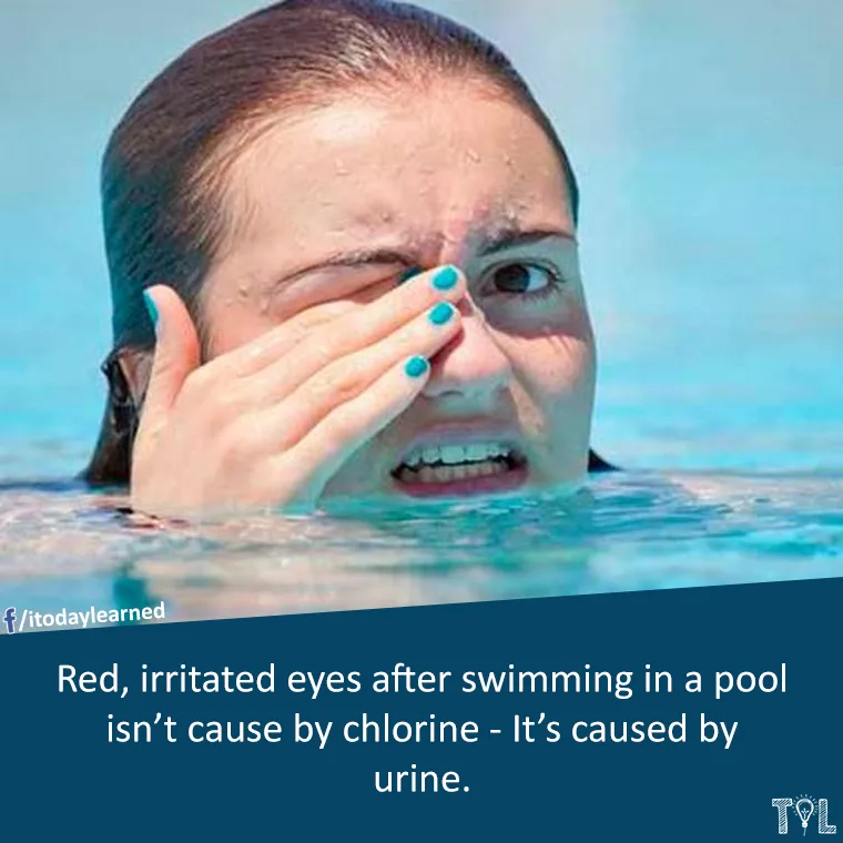 urine meme