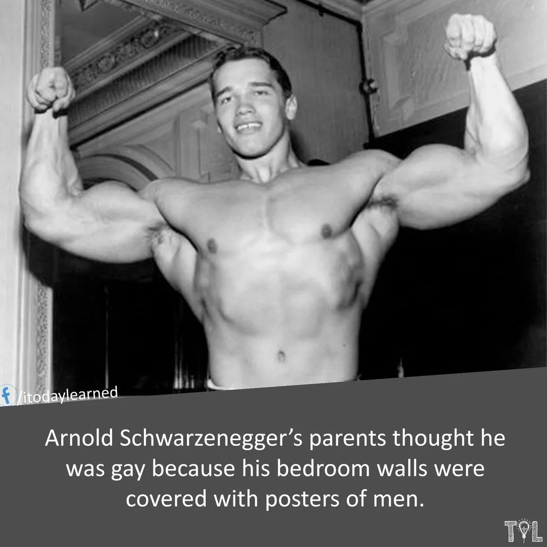 Arnold Schwarzenegger meme