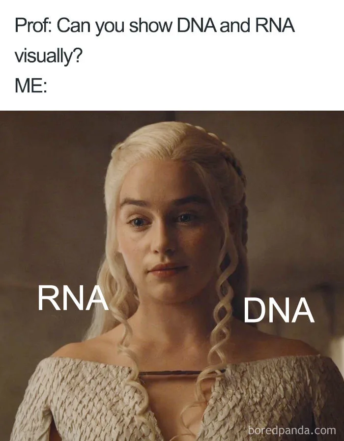 RNA meme