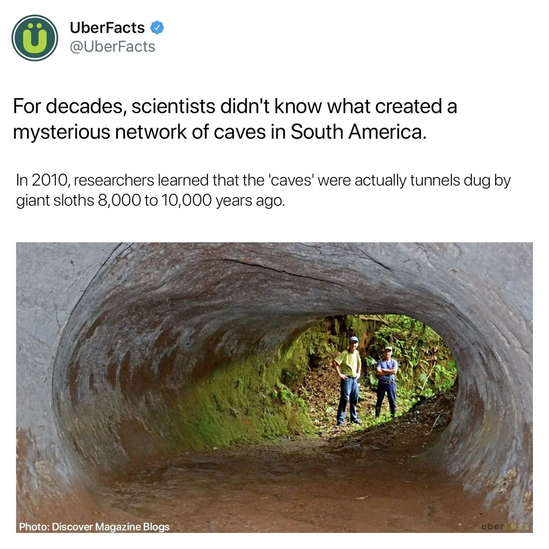 cave meme
