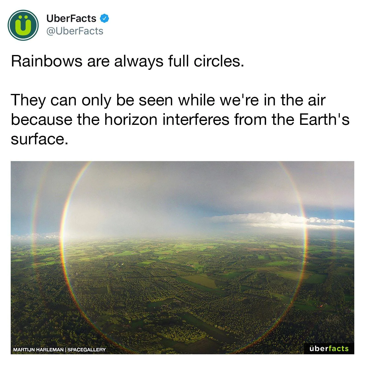 circle meme