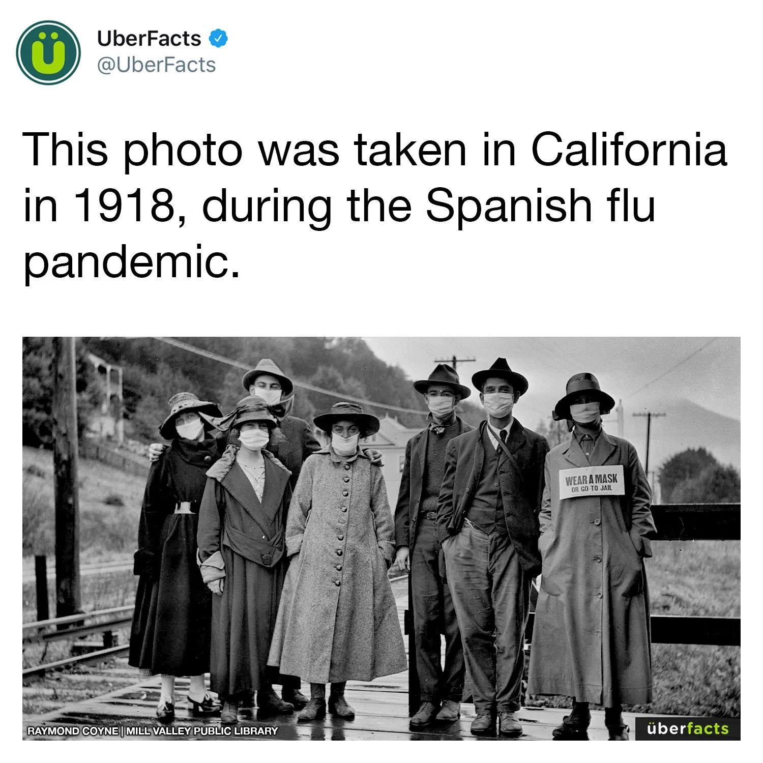 pandemic meme