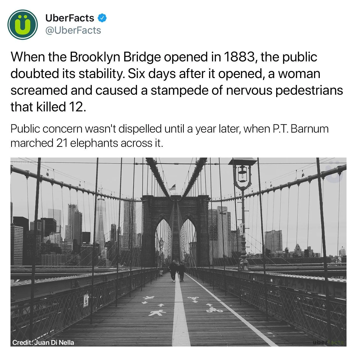 New York City meme