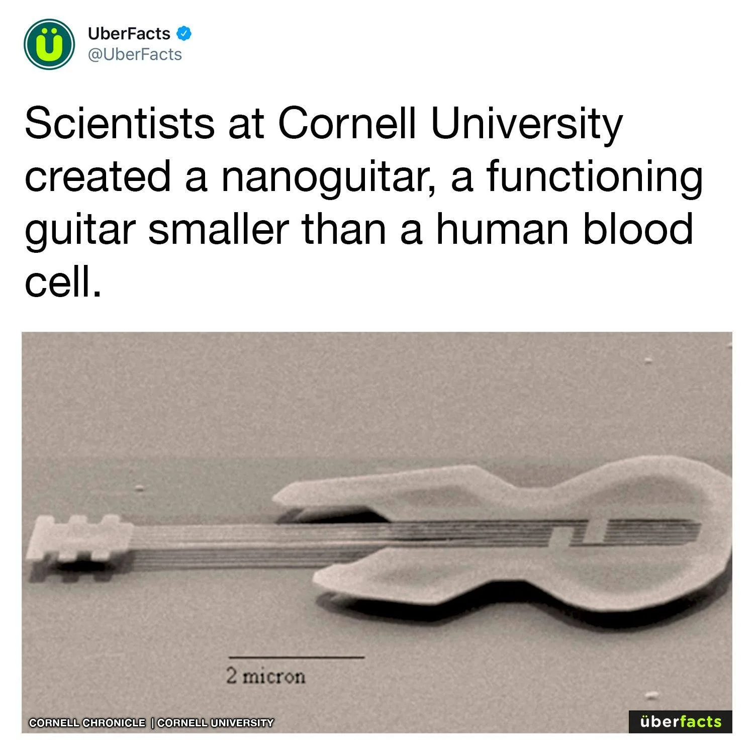 guitar meme