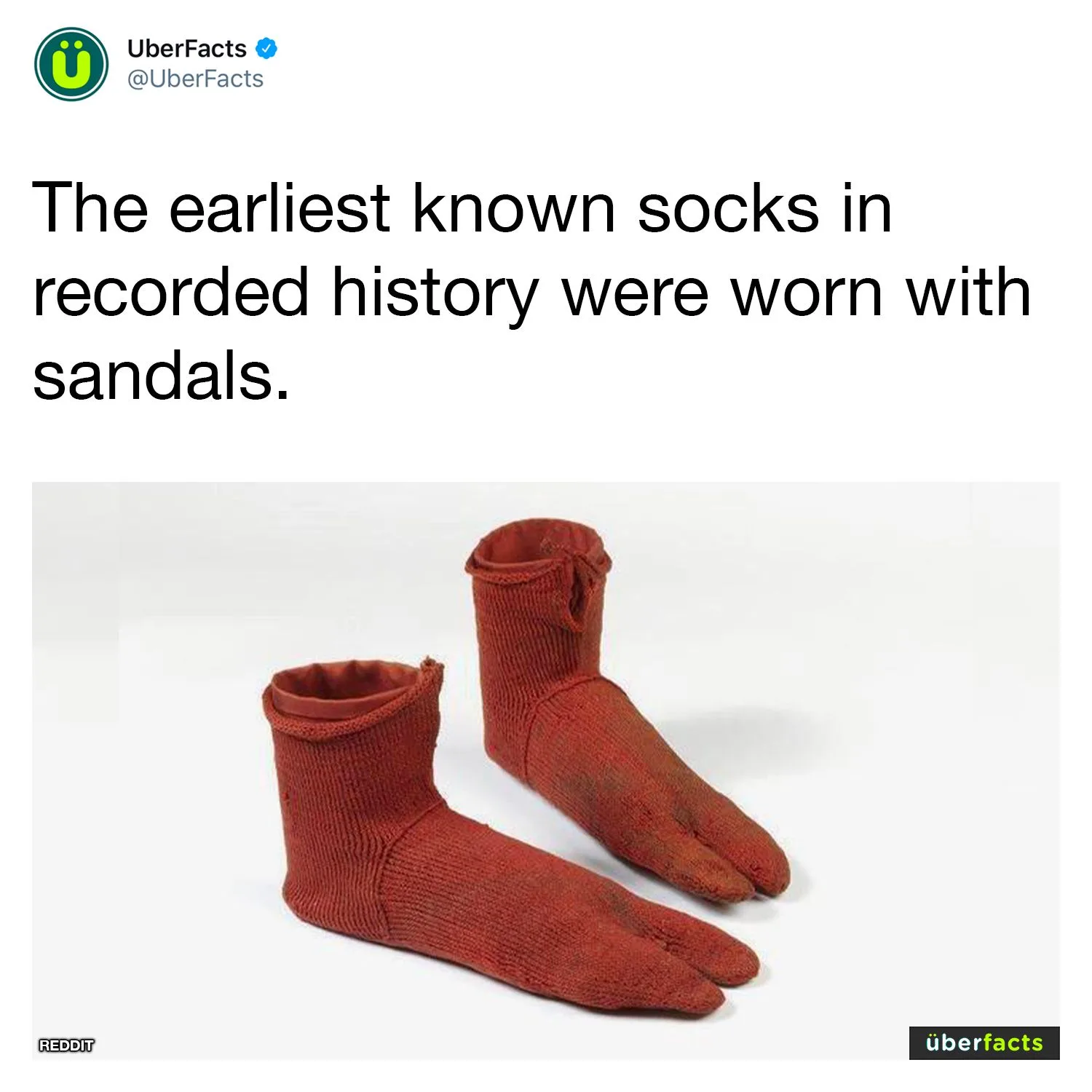 sandals meme