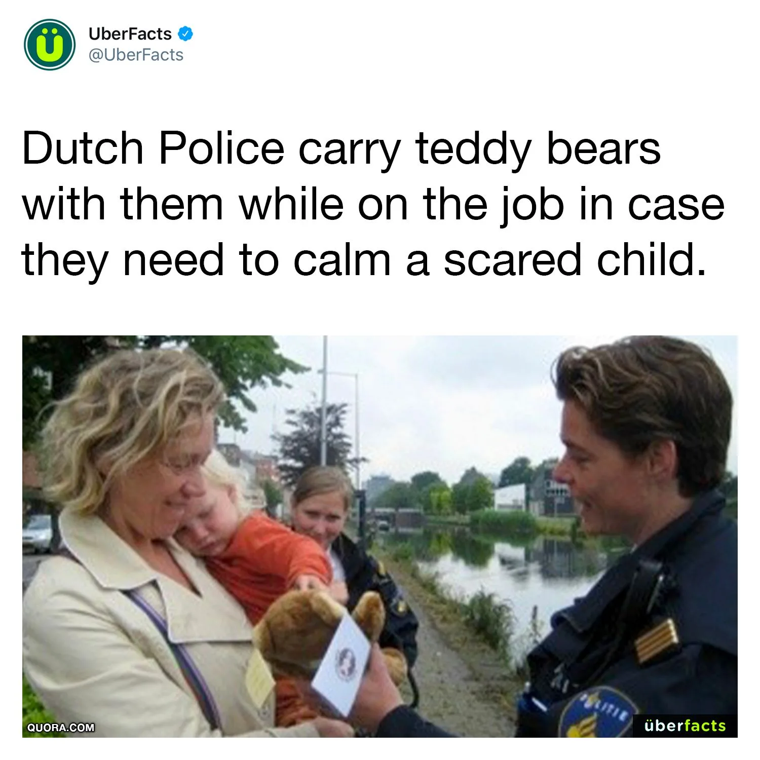 Amsterdam meme