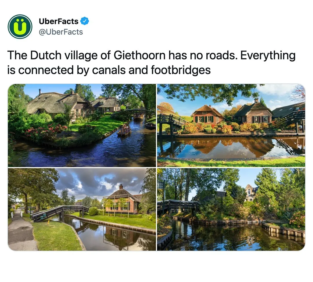 Holland meme