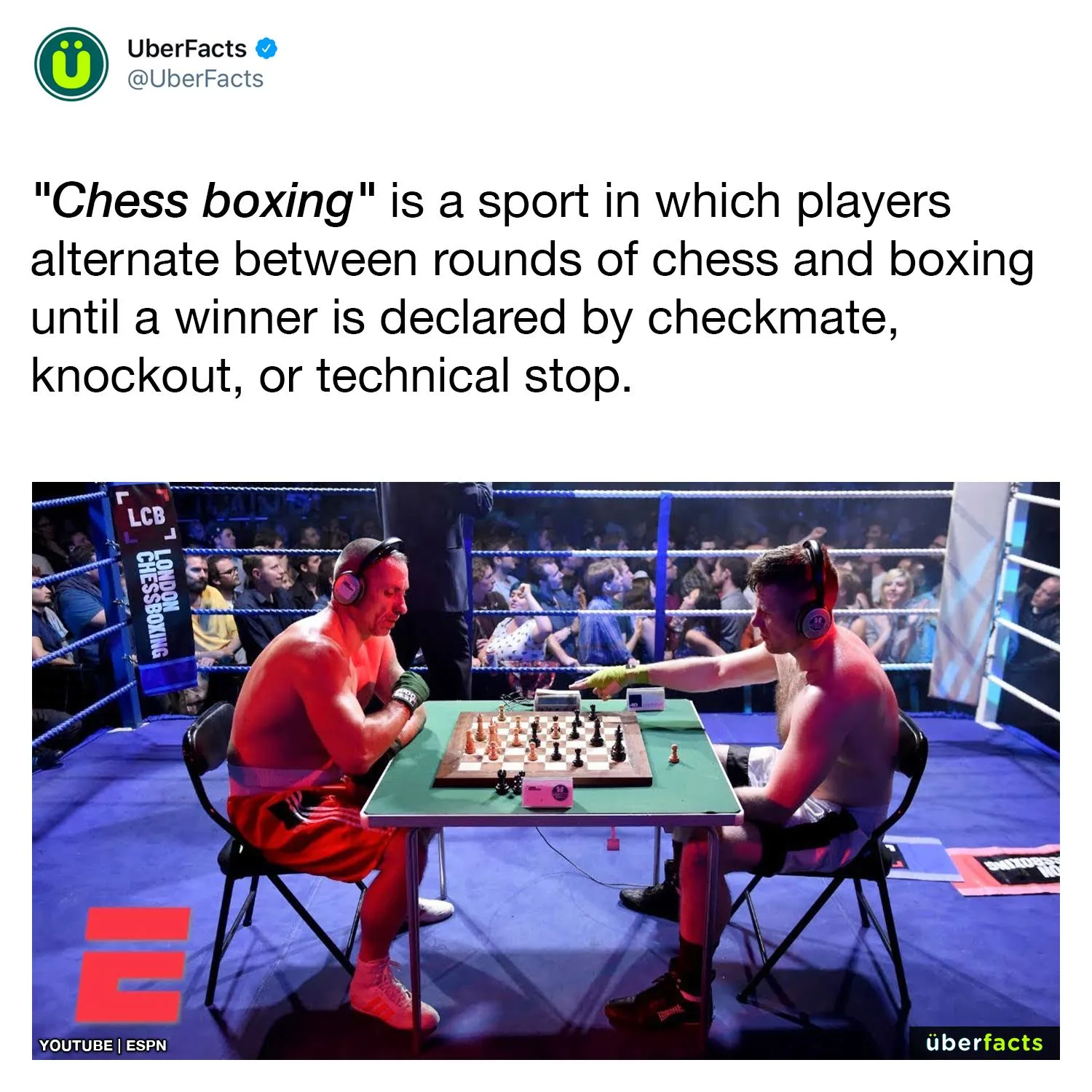 chess meme