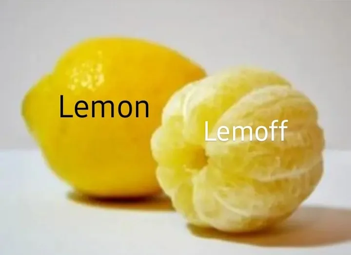 lemon meme