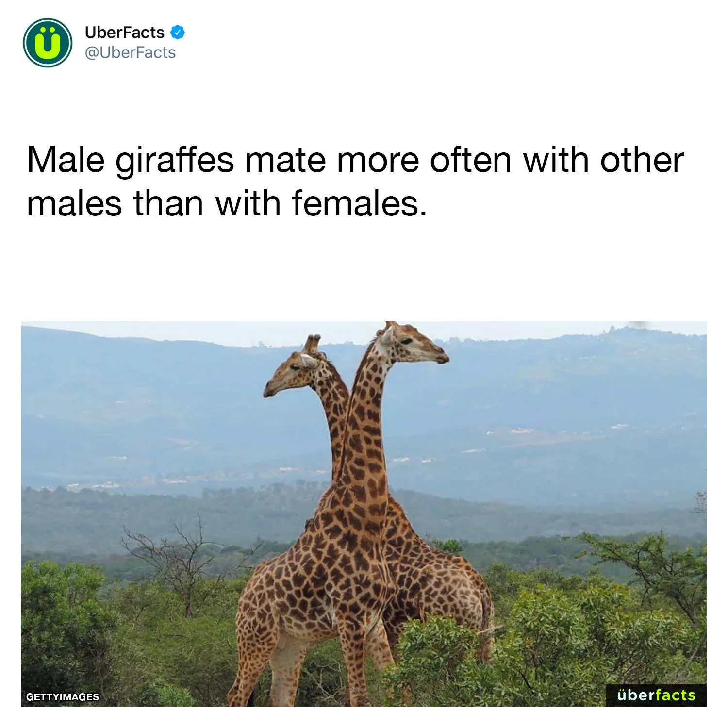 homosexuality meme