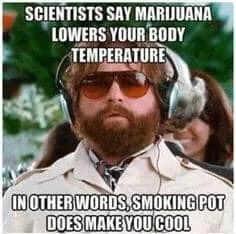smoking weed meme
