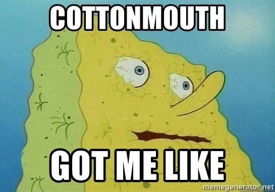 cottonmouth meme