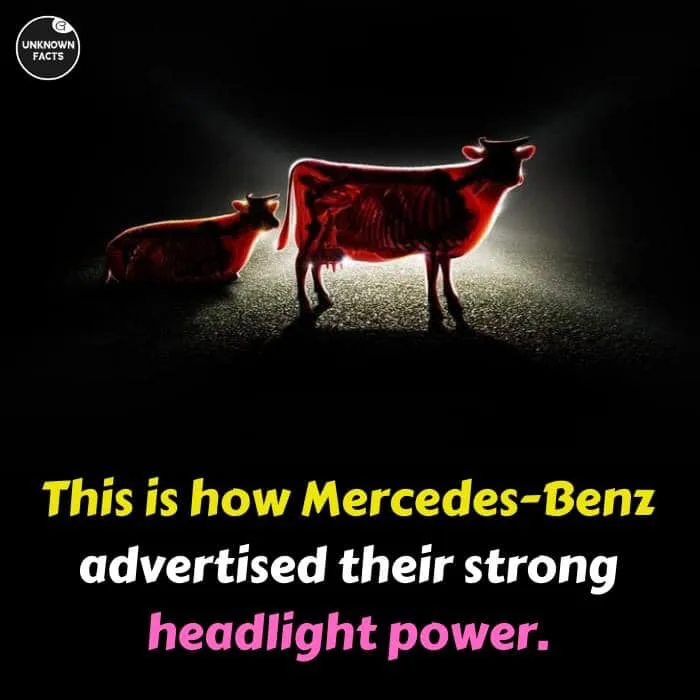 Mercedes Benz meme