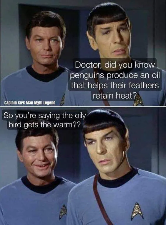 penguin meme