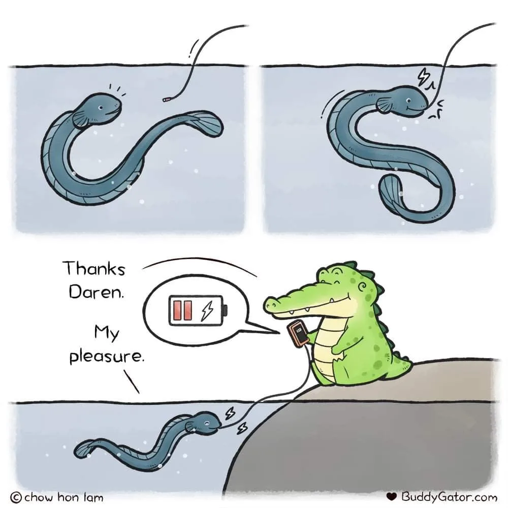 electric eel meme