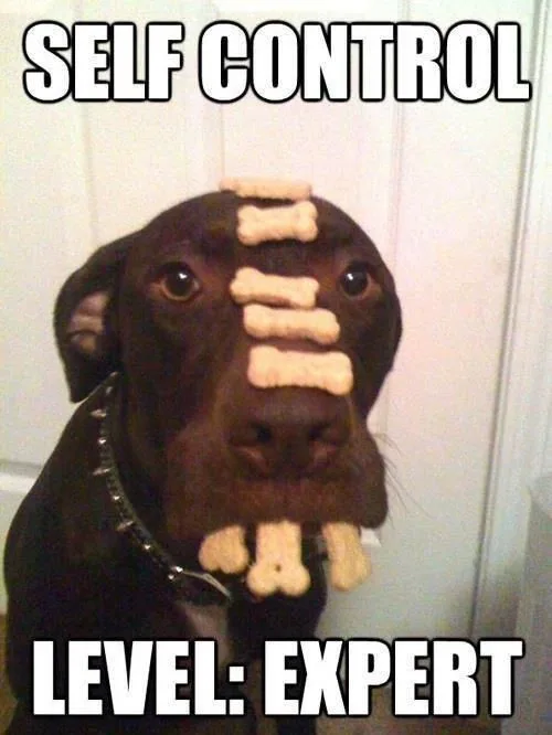 self-discipline meme