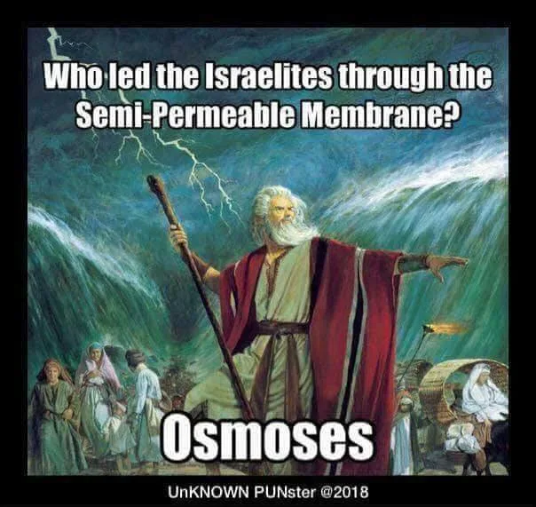 passover meme