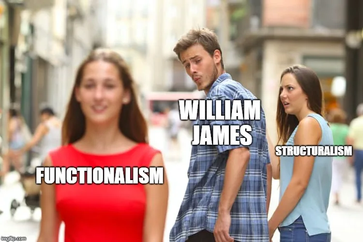 functionalism meme