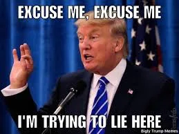 Donald Trump meme