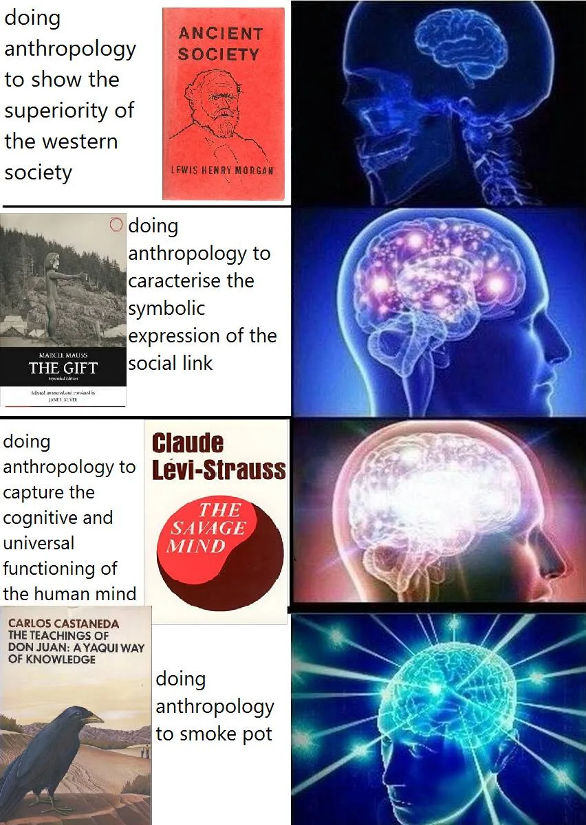 anthropology meme