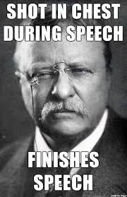 Theodore Roosevelt meme