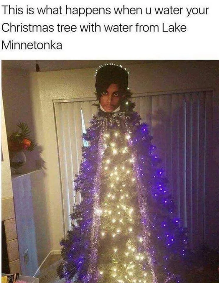 Minnesota meme