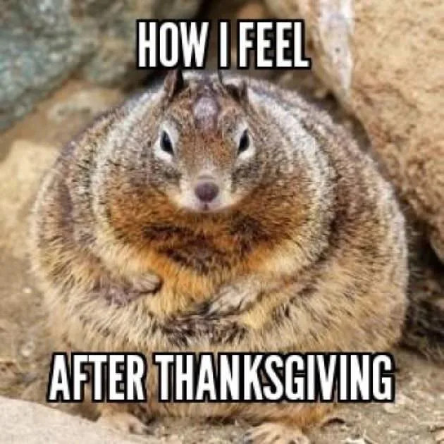 overeating meme