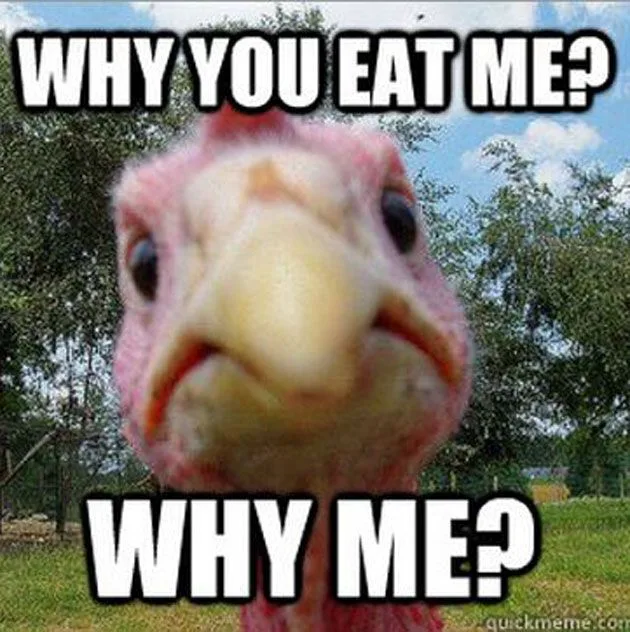 Thanksgiving meme