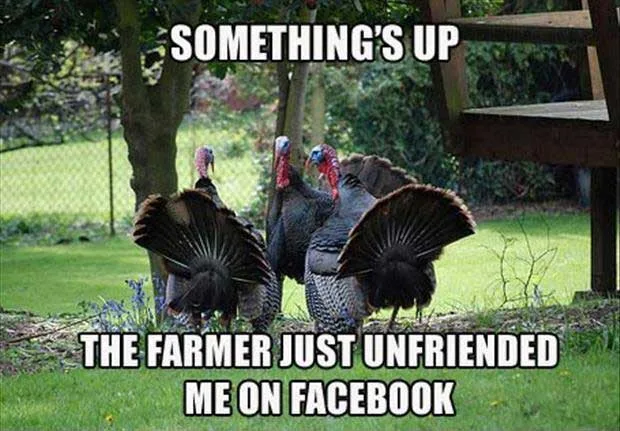Thanksgiving Turkey meme
