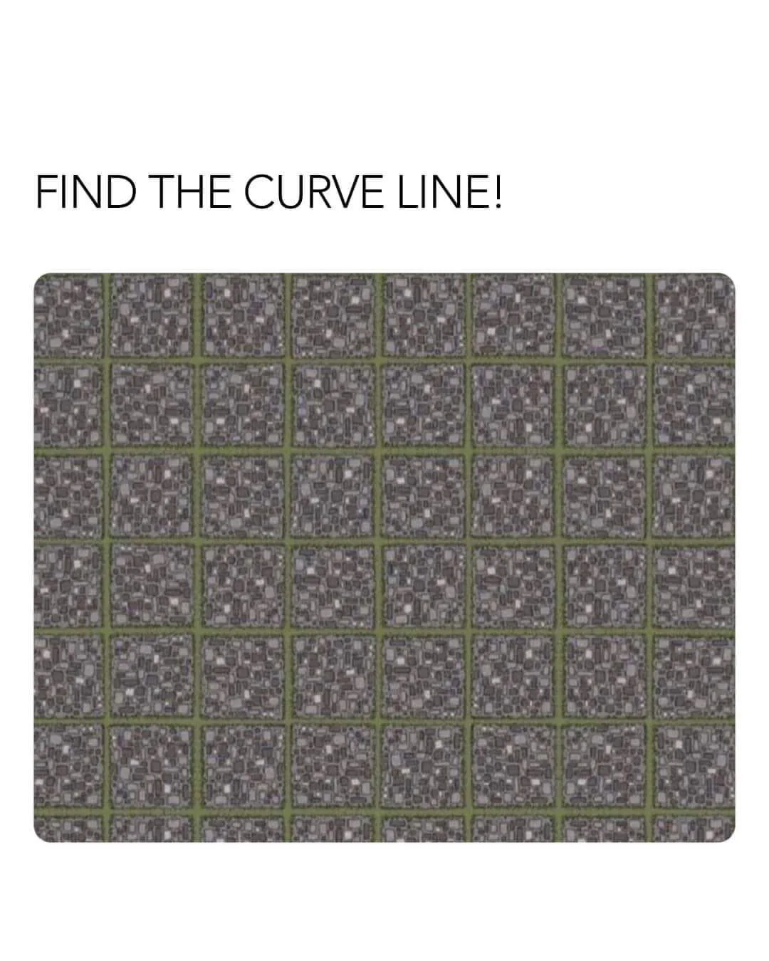 optical illusion meme