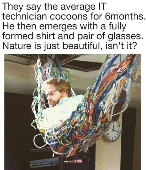 IT (Information Technology) meme
