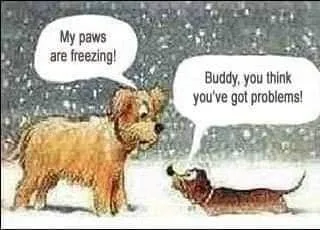 snow meme