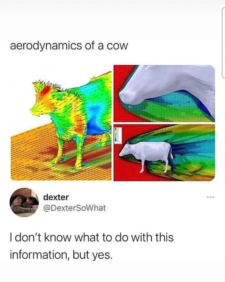 aerodynamics meme
