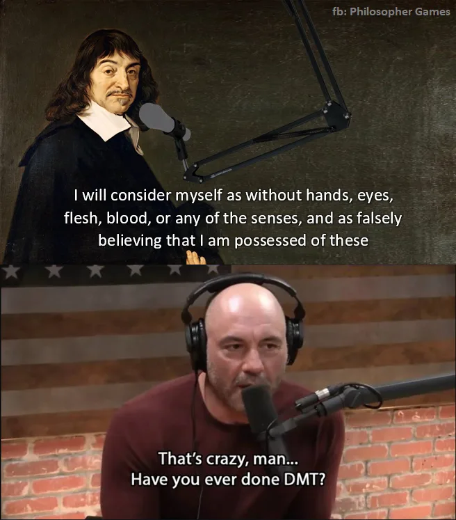 Rene Descartes meme