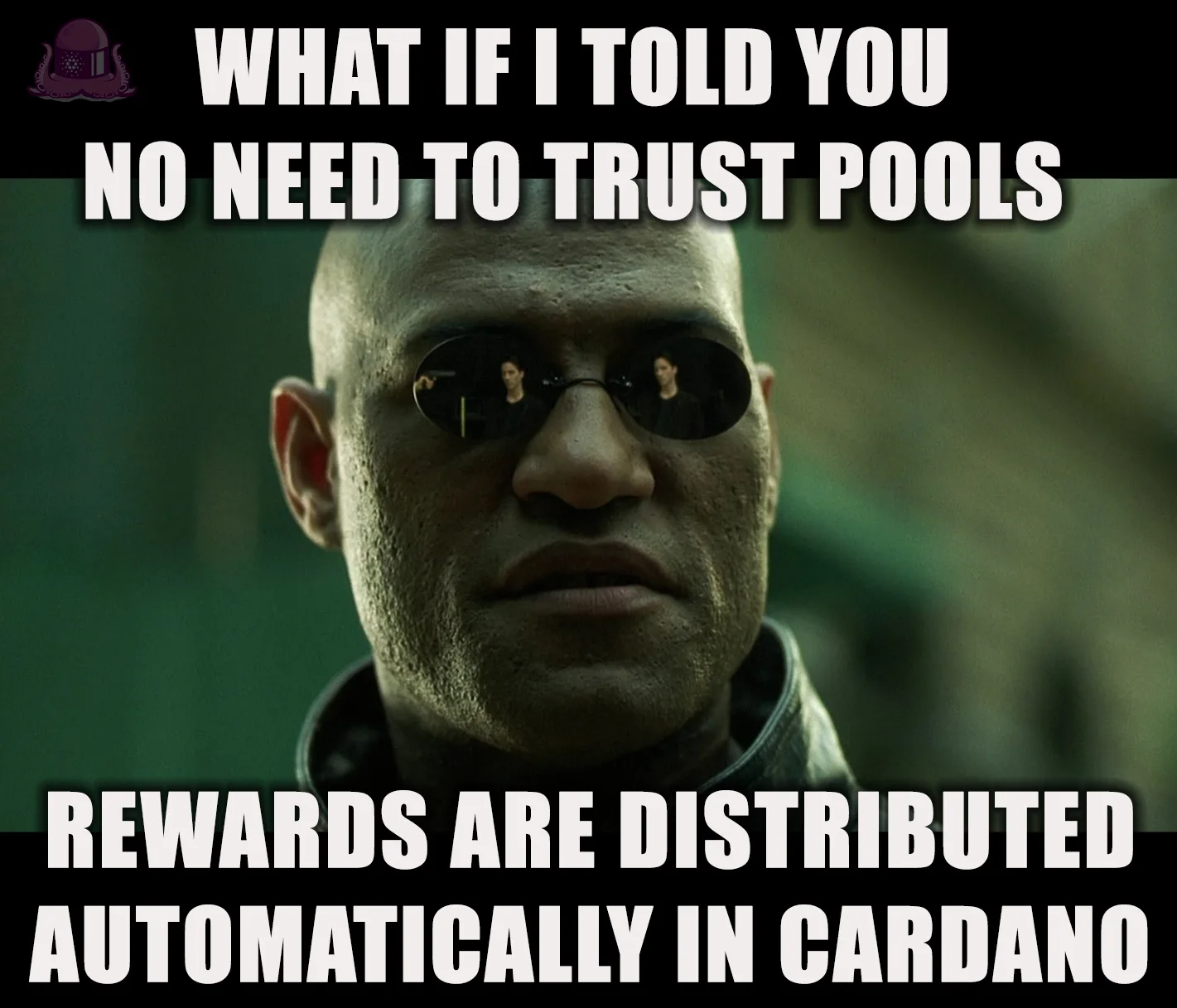 Cardano (ADA) meme