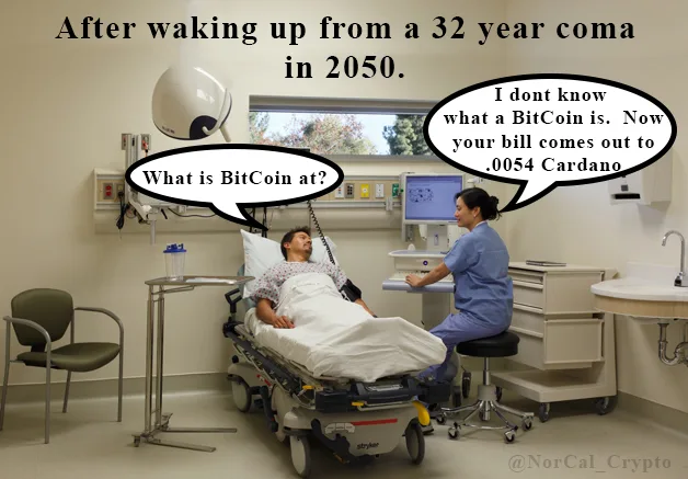 Cardano (ADA) meme