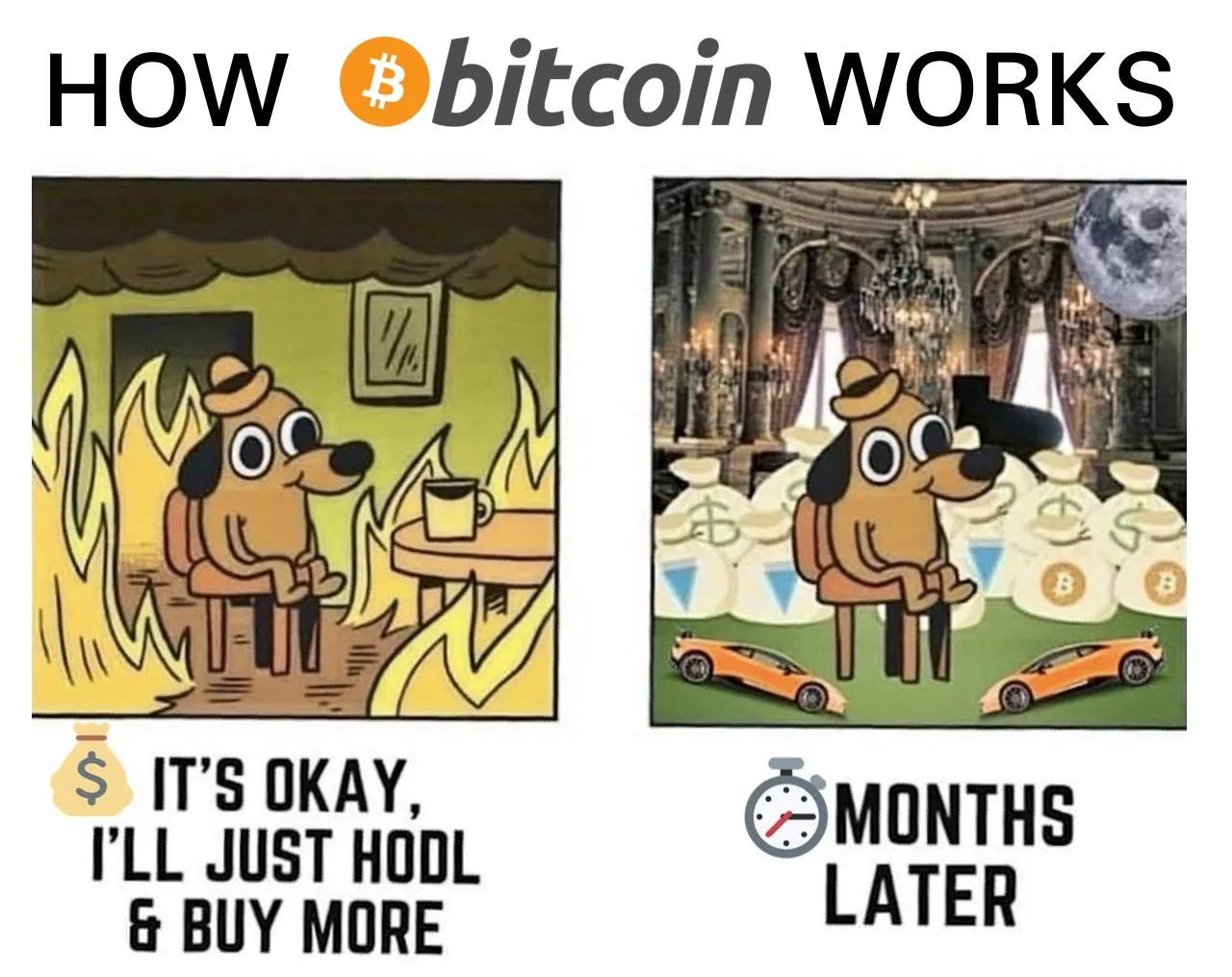HODLing meme