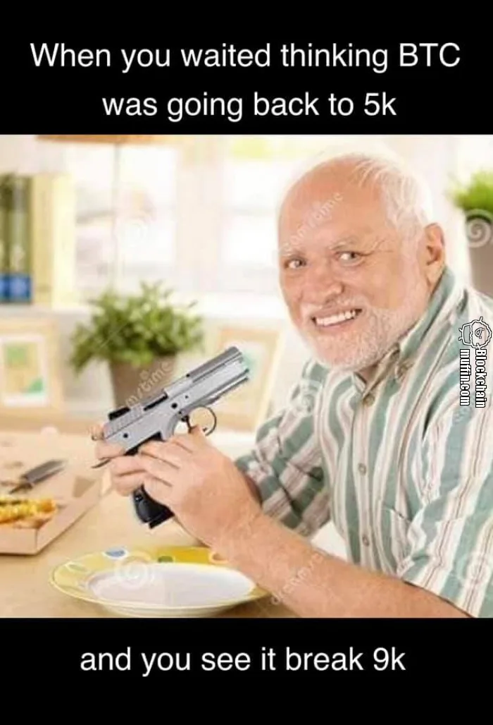 timing the market meme
