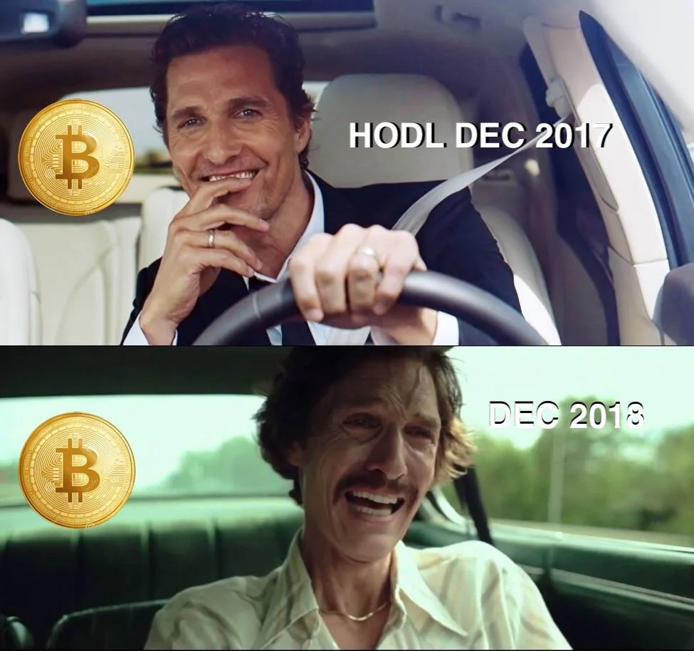 HODLing meme