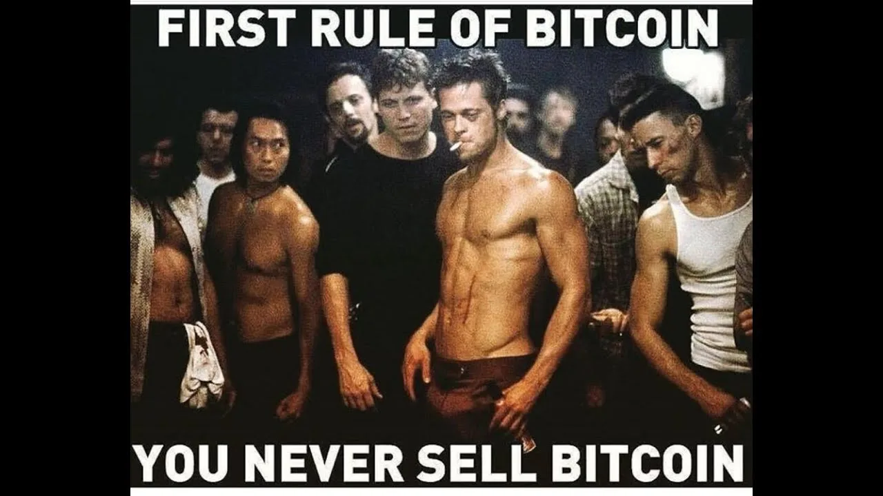 HODLing meme