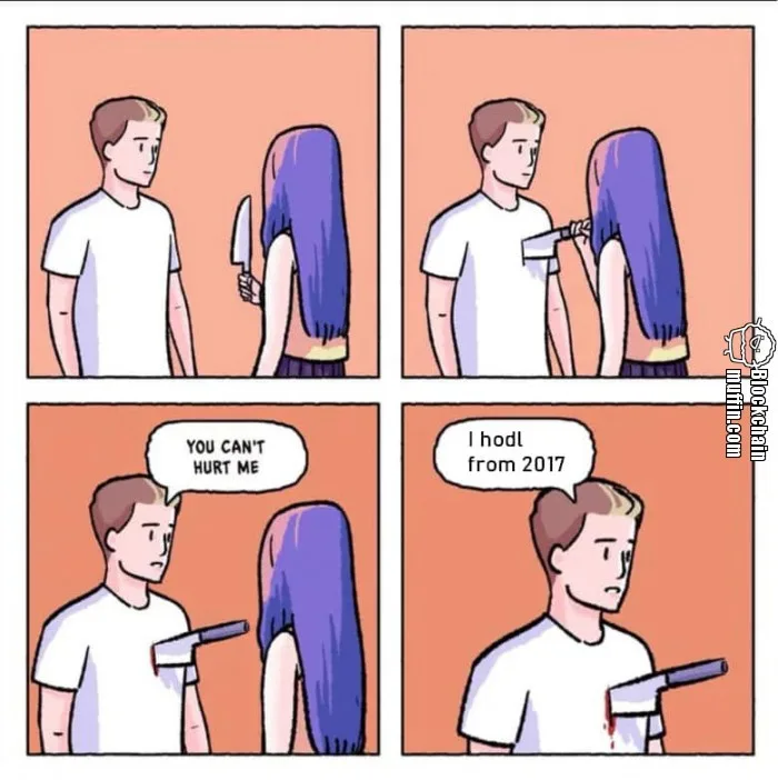 HODLing meme