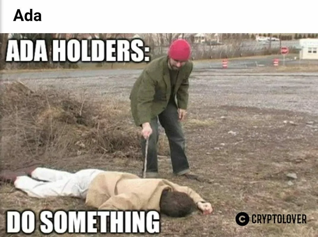 HODLing meme